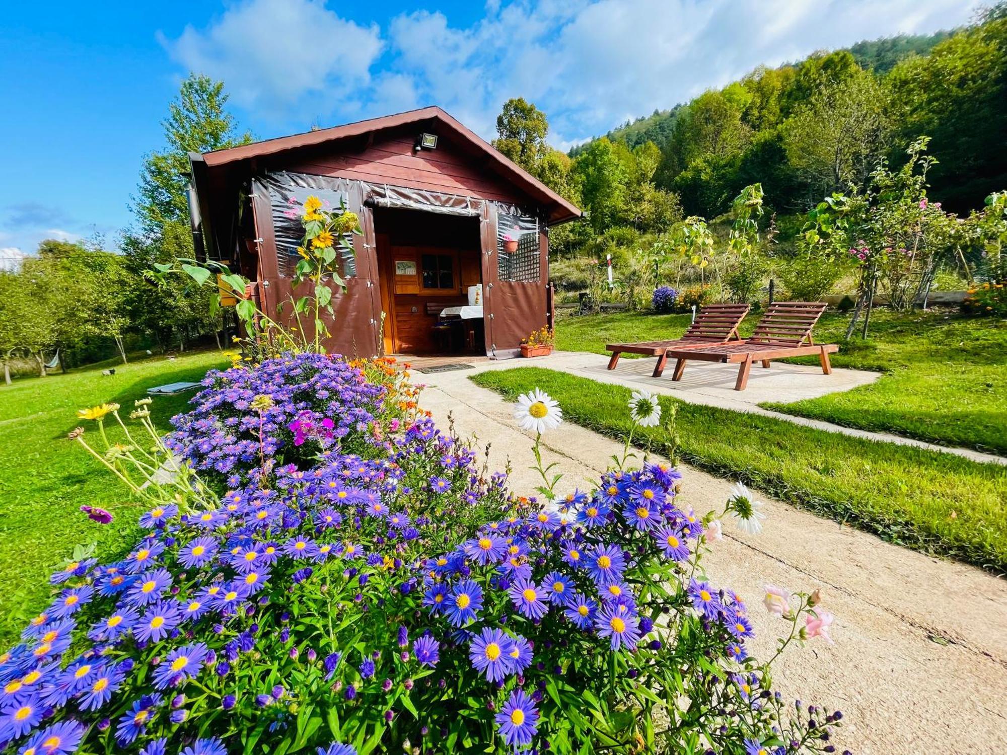 Cottage La Sierra With Jacuzzi Korenica Eksteriør billede